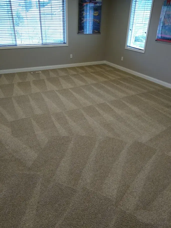 Freshly cleaned carpets